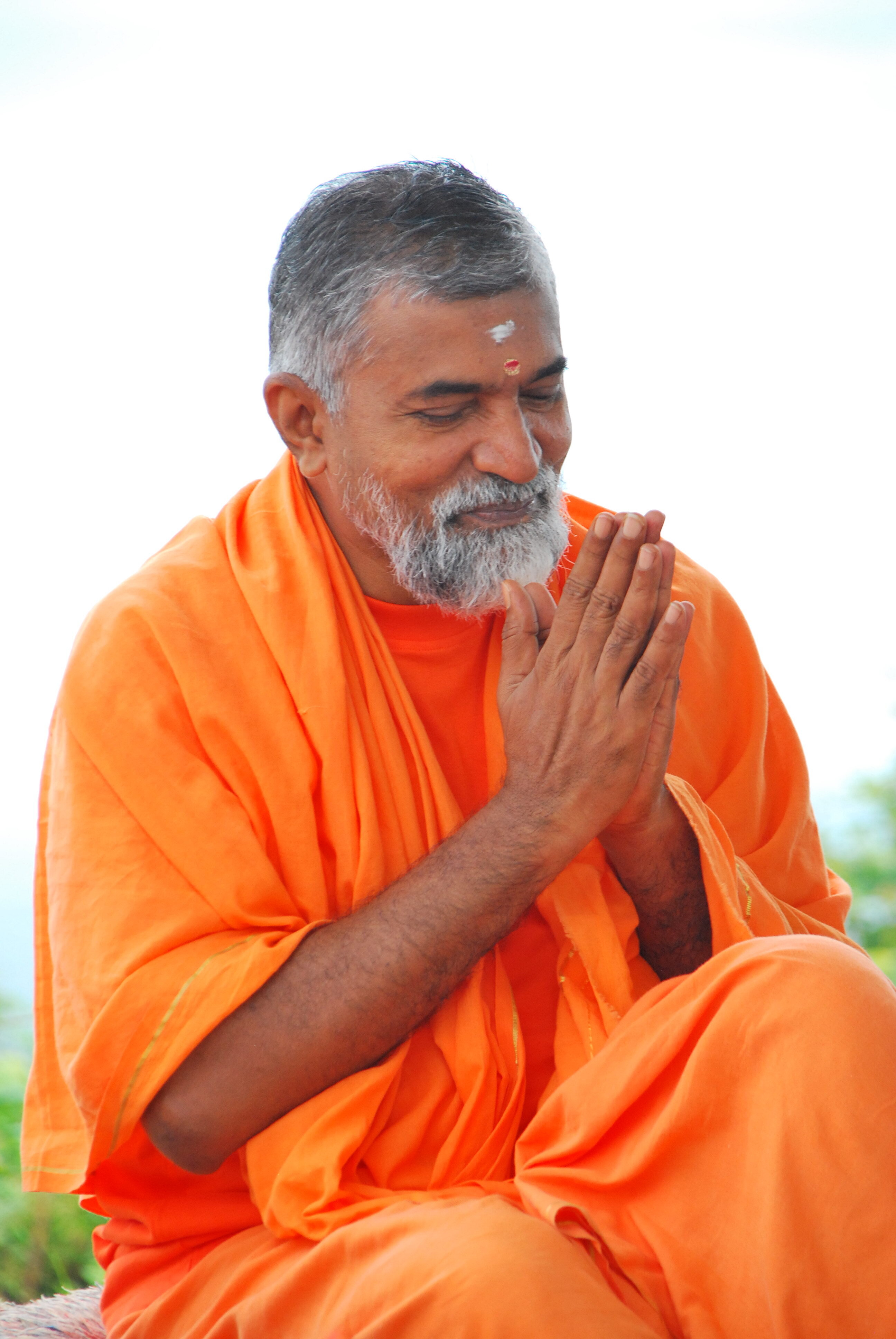 Image result for swami brahmananda saraswati